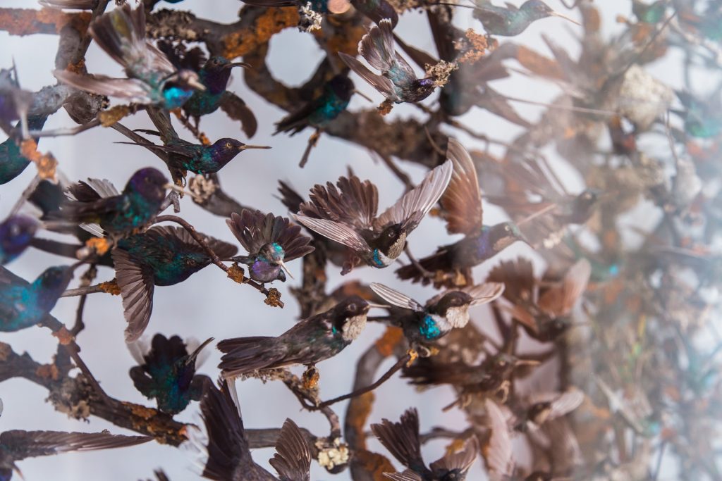 bruno-martins-z7QQyvnQDWc-unsplash bruno-martins-z7QQyvnQDWc-unsplash