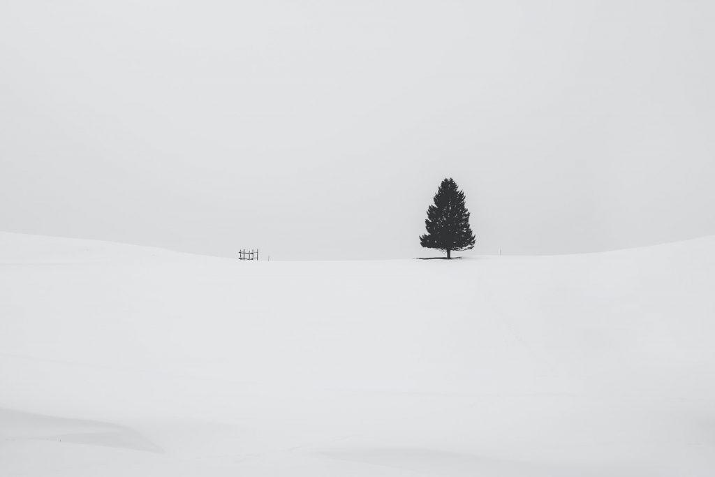 cristina-gottardi-4L-AyDJM-yM-unsplash cristina-gottardi-4L-AyDJM-yM-unsplash