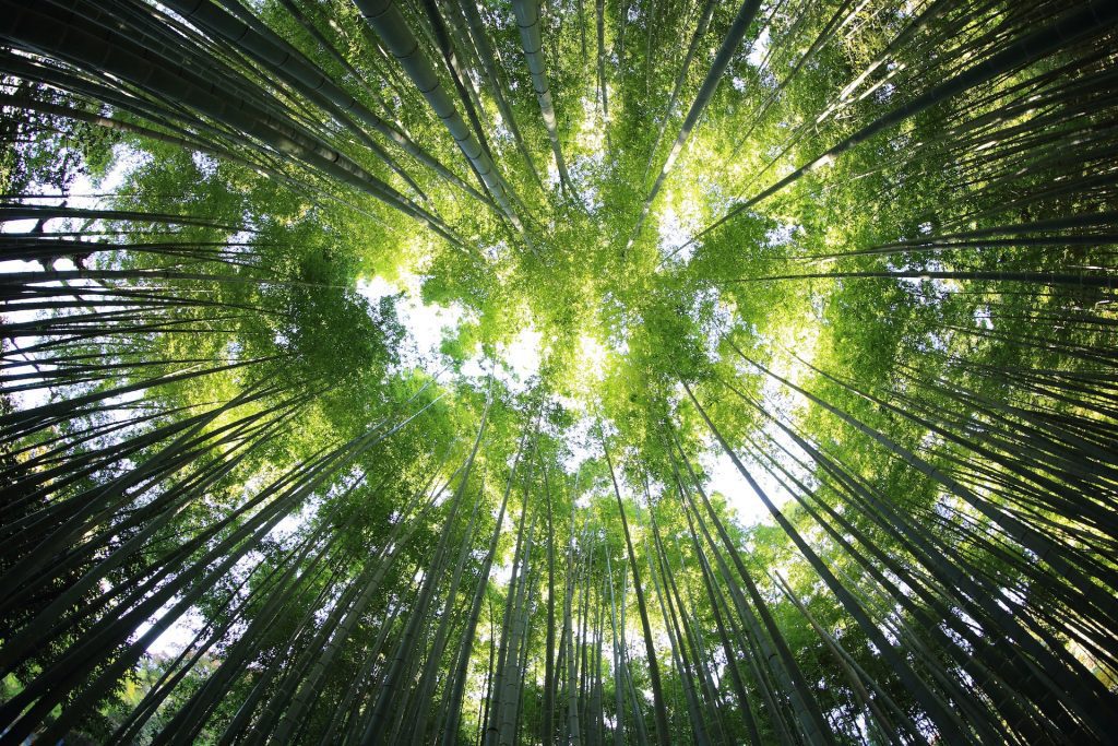 kazuend-19SC2oaVZW0-unsplash kazuend-19SC2oaVZW0-unsplash